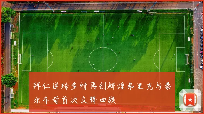拜仁逆转多特再创辉煌弗里克与泰尔齐奇首次交锋回顾